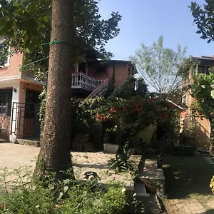  Bed & Breakfast Krishna House
